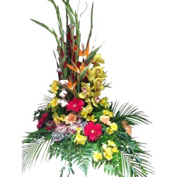 Caja centro Floral aragonés