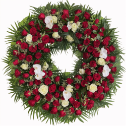 Circulo floral rosas y...