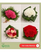 Flores y Ramos Ofrenda Virgen del Pilar | Floristas García