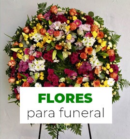 Flores para funeral