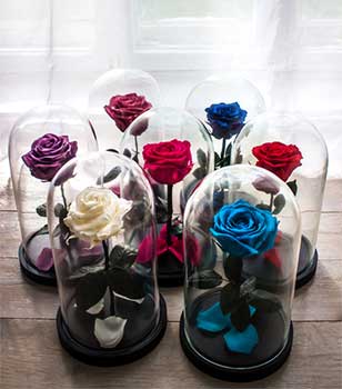 Flores eternas